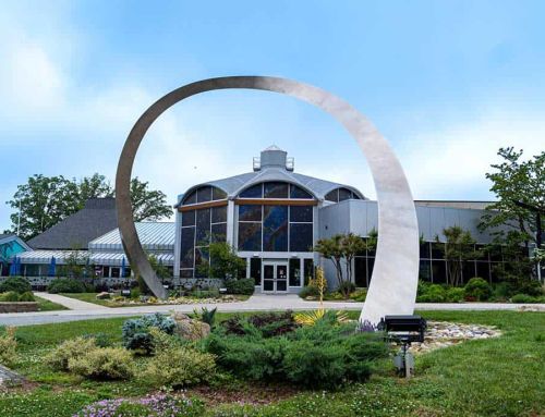 Discover Greensboro: Where History, Creativity, and Southern Charm Meet