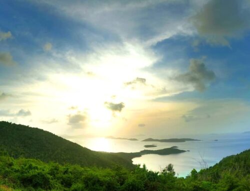 15 Things To Know Before You Visit St. John In The U.S. Virgin Islands